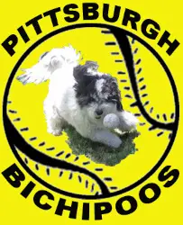 Bichipoos Logo